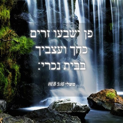 Picture 04 - משלי 5:10 HEB - פן ישבעו זרים כחך ועצביך - Bible Verse Picture