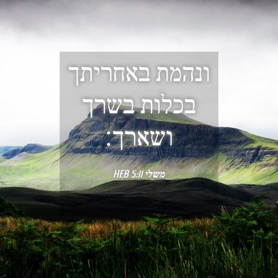 Picture 04 - משלי 5:11 HEB - ונהמת באחריתך בכלות בשרך - Bible Verse Picture