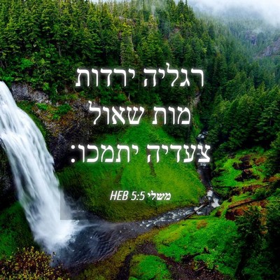 Picture 04 - משלי 5:5 HEB - רגליה ירדות מות שאול צעדיה - Bible Verse Picture