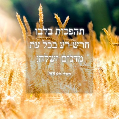 Picture 04 - משלי 6:14 HEB - תהפכות בלבו חרש רע בכל עת - Bible Verse Picture