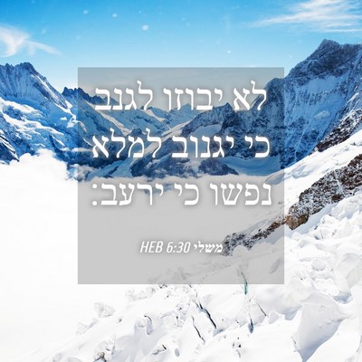Picture 04 - משלי 6:30 HEB - לא יבוזו לגנב כי יגנוב למלא - Bible Verse Picture