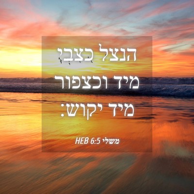 Picture 04 - משלי 6:5 HEB - הנצל כצבי מיד וכצפור מיד - Bible Verse Picture