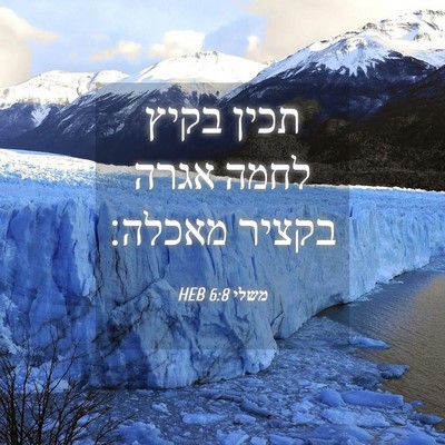 Picture 04 - משלי 6:8 HEB - תכין בקיץ לחמה אגרה בקציר - Bible Verse Picture
