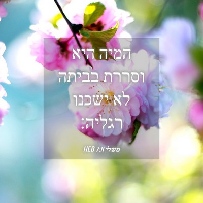 Picture 04 - משלי 7:11 HEB - המיה היא וסררת בביתה לא - Bible Verse Picture