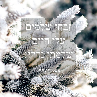 Picture 04 - משלי 7:14 HEB - זבחי שלמים עלי היום שלמתי - Bible Verse Picture