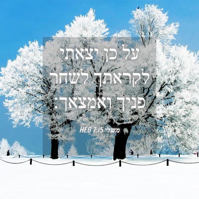 Picture 04 - משלי 7:15 HEB - על כן יצאתי לקראתך לשחר - Bible Verse Picture