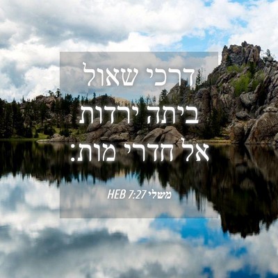 Picture 04 - משלי 7:27 HEB - דרכי שאול ביתה ירדות אל - Bible Verse Picture