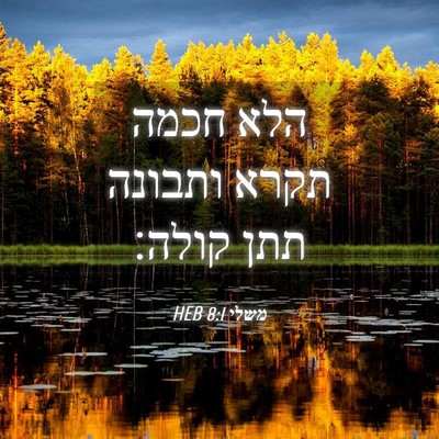 Picture 04 - משלי 8:1 HEB - הלא חכמה תקרא ותבונה תתן - Bible Verse Picture