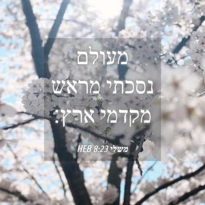 Picture 04 - משלי 8:23 HEB - מעולם נסכתי מראש מקדמי - Bible Verse Picture