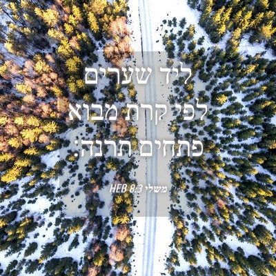 Picture 04 - משלי 8:3 HEB - ליד שערים לפי קרת מבוא - Bible Verse Picture