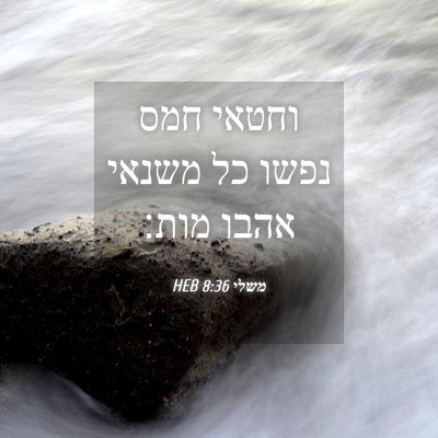 Picture 04 - משלי 8:36 HEB - וחטאי חמס נפשו כל משנאי - Bible Verse Picture