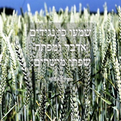 Picture 04 - משלי 8:6 HEB - שמעו כי נגידים אדבר ומפתח - Bible Verse Picture