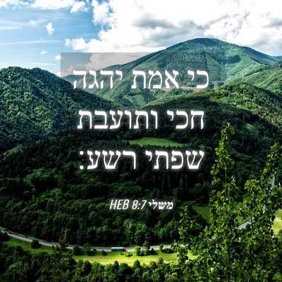 Picture 04 - משלי 8:7 HEB - כי אמת יהגה חכי ותועבת שפתי - Bible Verse Picture