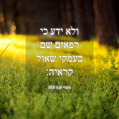 Picture 04 - משלי 9:18 HEB - ולא ידע כי רפאים שם בעמקי - Bible Verse Picture