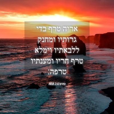 Picture 04 - נחום 2:12 HEB - אריה טרף בדי גרותיו ומחנק - Bible Verse Picture