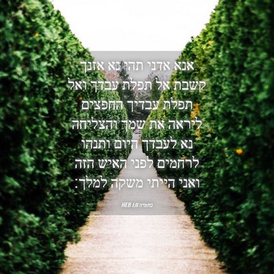 Picture 04 - נחמיה 1:11 HEB - אנא אדני תהי נא אזנך קשבת - Bible Verse Picture