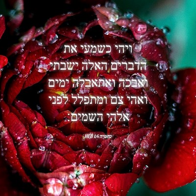 Picture 04 - נחמיה 1:4 HEB - ויהי כשמעי את הדברים האלה - Bible Verse Picture