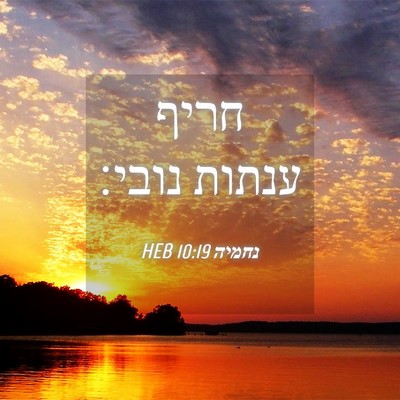 Picture 04 - נחמיה 10:19 HEB - חריף ענתות - Bible Verse Picture