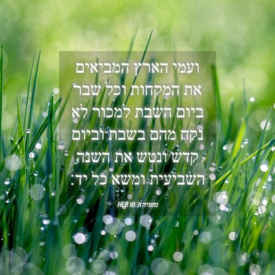 Picture 04 - נחמיה 10:31 HEB - ועמי הארץ המביאים את - Bible Verse Picture