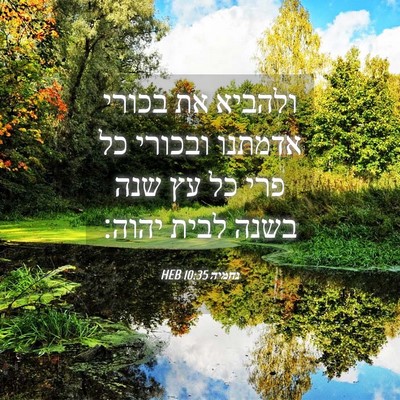 Picture 04 - נחמיה 10:35 HEB - ולהביא את בכורי אדמתנו - Bible Verse Picture