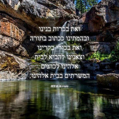 Picture 04 - נחמיה 10:36 HEB - ואת בכרות בנינו ובהמתינו - Bible Verse Picture