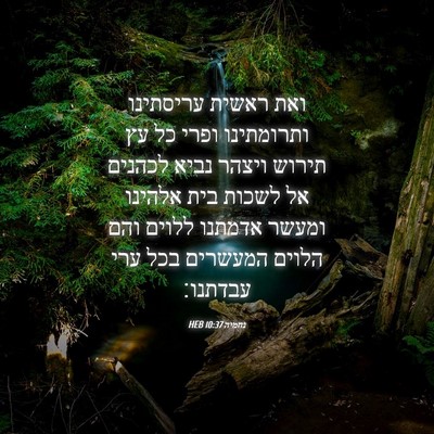 Picture 04 - נחמיה 10:37 HEB - ואת ראשית עריסתינו - Bible Verse Picture