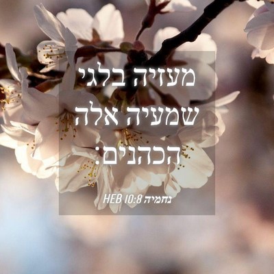 Picture 04 - נחמיה 10:8 HEB - מעזיה בלגי שמעיה אלה - Bible Verse Picture