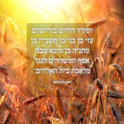 Picture 04 - נחמיה 11:22 HEB - ופקיד הלוים בירושלם עזי בן - Bible Verse Picture
