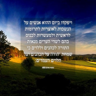 Picture 04 - נחמיה 12:44 HEB - ויפקדו ביום ההוא אנשים על - Bible Verse Picture