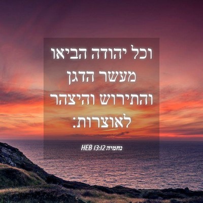 Picture 04 - נחמיה 13:12 HEB - וכל יהודה הביאו מעשר הדגן - Bible Verse Picture
