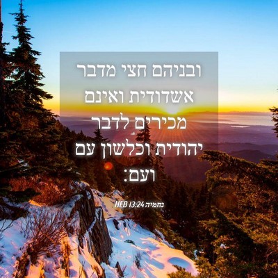 Picture 04 - נחמיה 13:24 HEB - ובניהם חצי מדבר אשדודית - Bible Verse Picture
