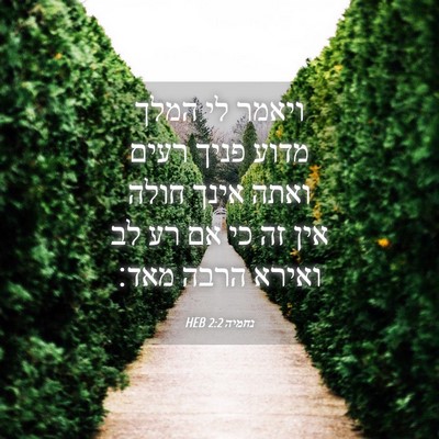 Picture 04 - נחמיה 2:2 HEB - ויאמר לי המלך מדוע פניך - Bible Verse Picture