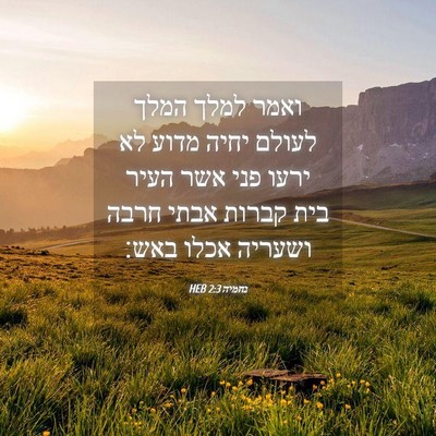 Picture 04 - נחמיה 2:3 HEB - ואמר למלך המלך לעולם יחיה - Bible Verse Picture