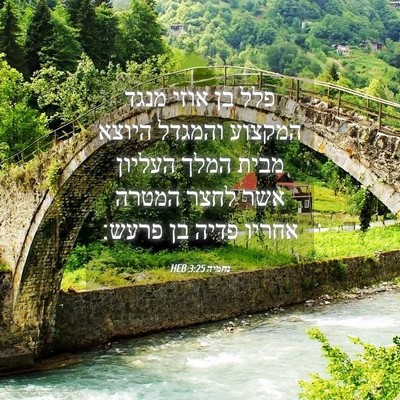 Picture 04 - נחמיה 3:25 HEB - פלל בן אוזי מנגד המקצוע - Bible Verse Picture