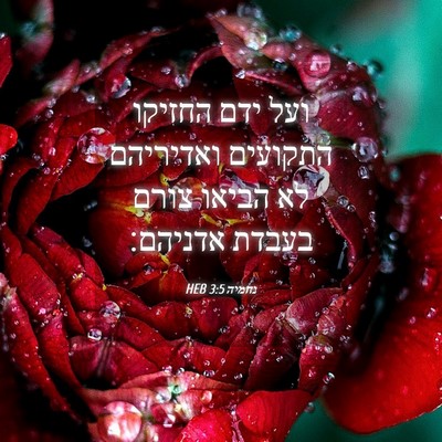 Picture 04 - נחמיה 3:5 HEB - ועל ידם החזיקו התקועים - Bible Verse Picture