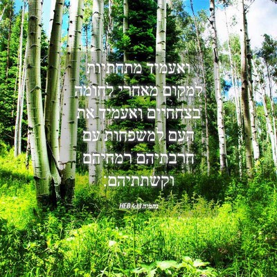 Picture 04 - נחמיה 4:13 HEB - ואעמיד מתחתיות למקום מאחרי - Bible Verse Picture