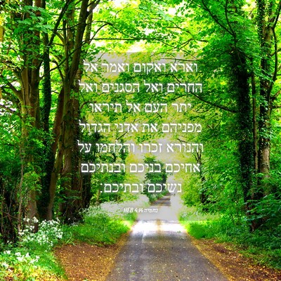 Picture 04 - נחמיה 4:14 HEB - וארא ואקום ואמר אל החרים - Bible Verse Picture