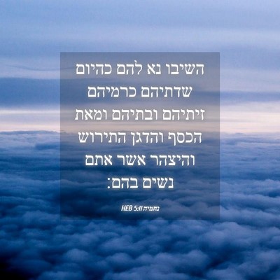Picture 04 - נחמיה 5:11 HEB - השיבו נא להם כהיום שדתיהם - Bible Verse Picture