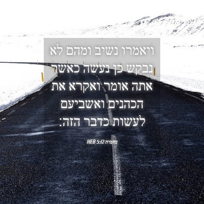 Picture 04 - נחמיה 5:12 HEB - ויאמרו נשיב ומהם לא נבקש כן - Bible Verse Picture