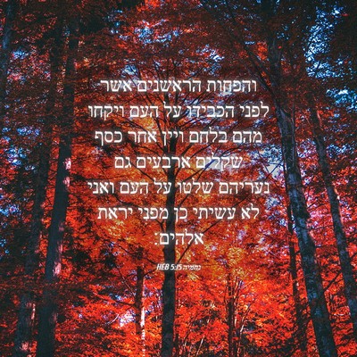 Picture 04 - נחמיה 5:15 HEB - והפחות הראשנים אשר לפני - Bible Verse Picture