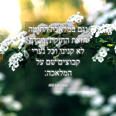 Picture 04 - נחמיה 5:16 HEB - וגם במלאכת החומה הזאת - Bible Verse Picture