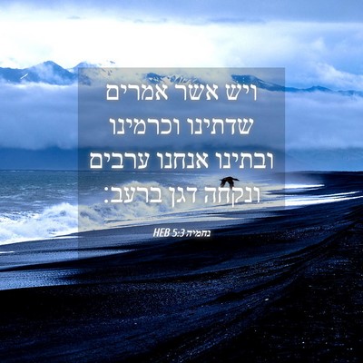 Picture 04 - נחמיה 5:3 HEB - ויש אשר אמרים שדתינו - Bible Verse Picture