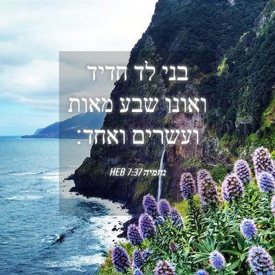 Picture 04 - נחמיה 7:37 HEB - בני לד חדיד ואונו שבע מאות - Bible Verse Picture