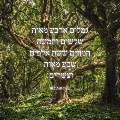 Picture 04 - נחמיה 7:69 HEB - גמלים ארבע מאות שלשים - Bible Verse Picture