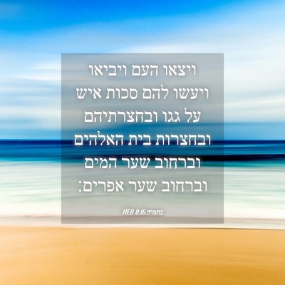 Picture 04 - נחמיה 8:16 HEB - ויצאו העם ויביאו ויעשו להם - Bible Verse Picture