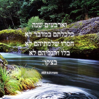 Picture 04 - נחמיה 9:21 HEB - וארבעים שנה כלכלתם במדבר - Bible Verse Picture