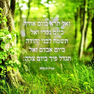 Picture 04 - עבדיה 1:12 HEB - ואל תרא ביום אחיך ביום נכרו - Bible Verse Picture