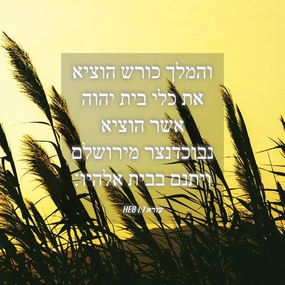 Picture 04 - עזרא 1:7 HEB - והמלך כורש הוציא את כלי בית - Bible Verse Picture