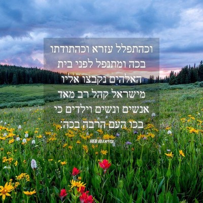 Picture 04 - עזרא 10:1 HEB - וכהתפלל עזרא וכהתודתו בכה - Bible Verse Picture