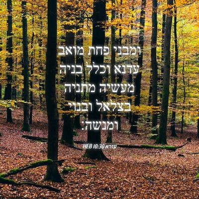 Picture 04 - עזרא 10:30 HEB - ומבני פחת מואב עדנא וכלל - Bible Verse Picture